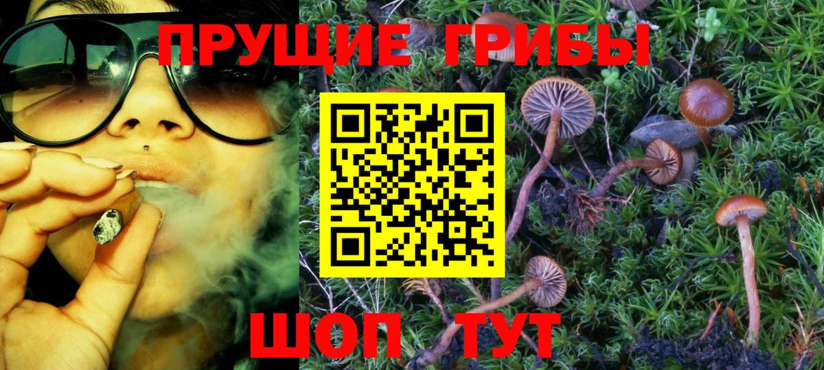 Галлюциногенные грибы Cubensis Оренбург