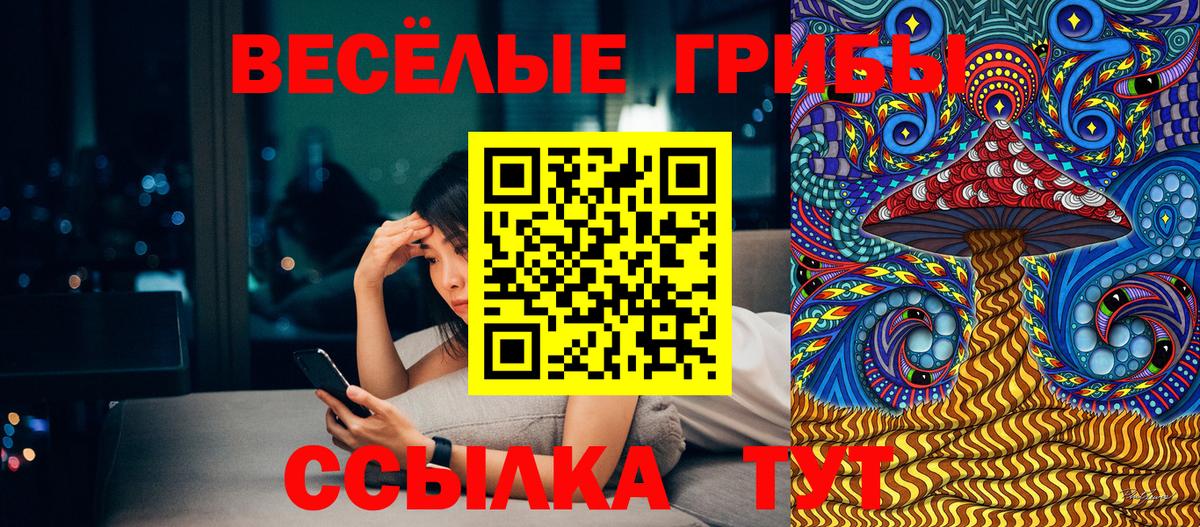 Псилоцибиновые грибы MAGIC MUSHROOMS  Псилоцибиновые грибы MAGIC MUSHROOMS  Вход с VPN  Оренбург 